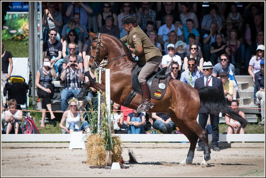 Pferd International 147